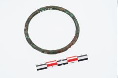 Foto von Bronzering (NHMW-PRAE-023658)